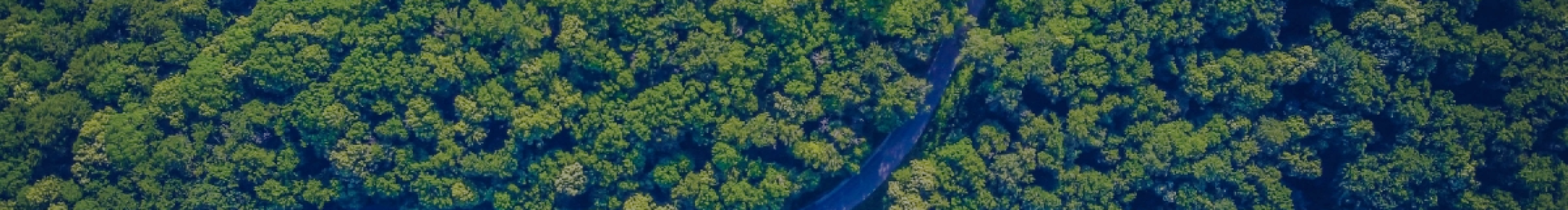 artboard--2